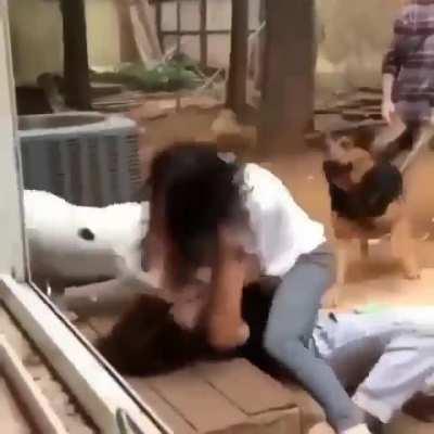 Fucking Hell, She Destroyed Her