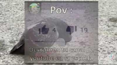 TheVirginZone - Video #4996