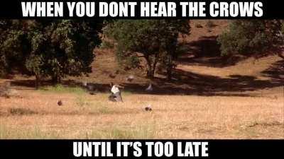 I swear sometimes they make no noise...