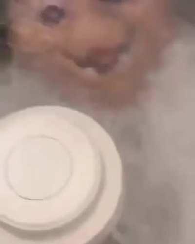 Washing the kids stuffed animal