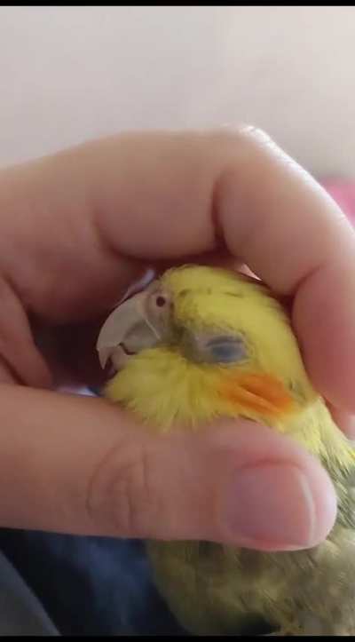 Why do you do this to me? 