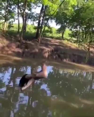 The simulation glitched for a second