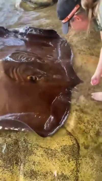 What a fascinating creature..