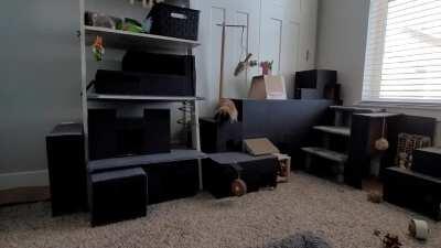 Quick look at the palace I built for Poe. She loves it!