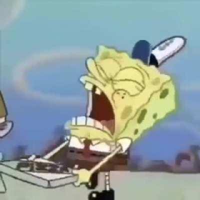 Qual é o preferido de vocês?