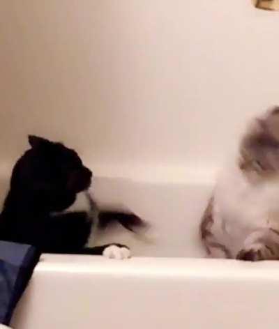 There can only be one