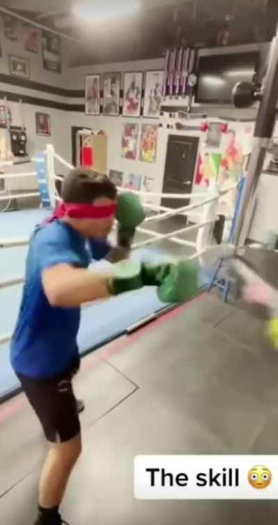 hmrb while I do my training blindfolded.