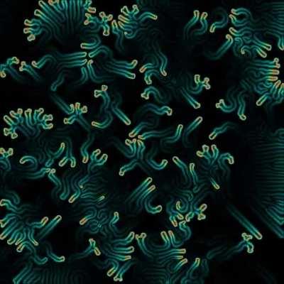 recursive growth forever