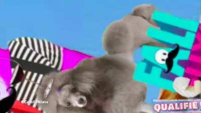 🥖Les gars de l'automne 🇫🇷