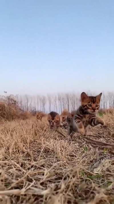 my heart has been healed!