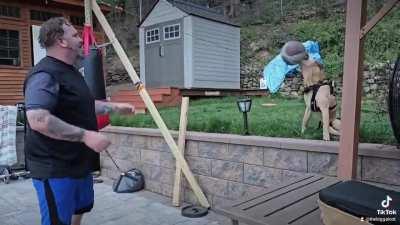 Dude plays ball with his paraplegic dog - Brewtus the Nudist