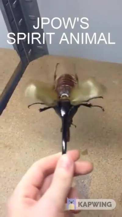 I found JPOW's Spirit Animal