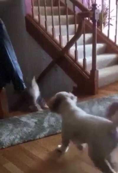 Могёт (звук)