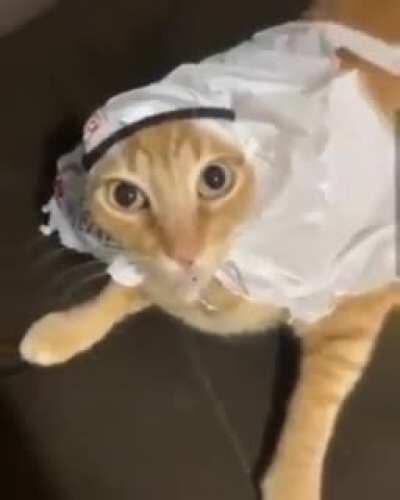 Duda seria ¿A qué horas son los streams del viejas?