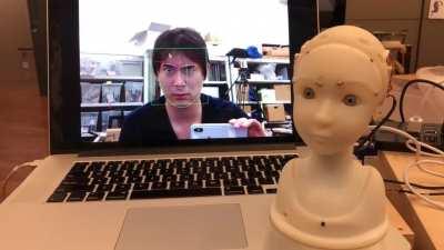 SEER has obtained real-time face-mirroring ability