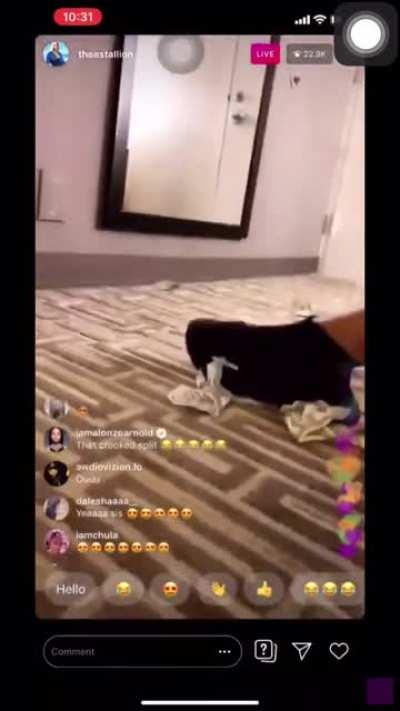 Meganthestallion 🍑💦