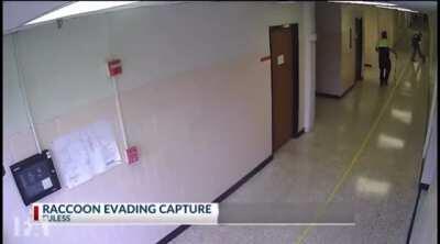 I'm unstoppable! (sound)