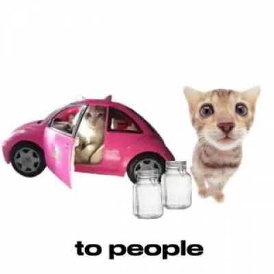 we are so fucking back