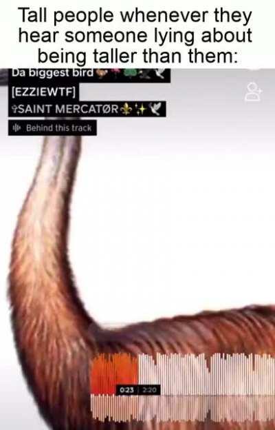 I'm Da Biggest Bird Audio / Video Meme