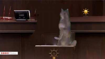 böyle değilmiydi zaten sjsj