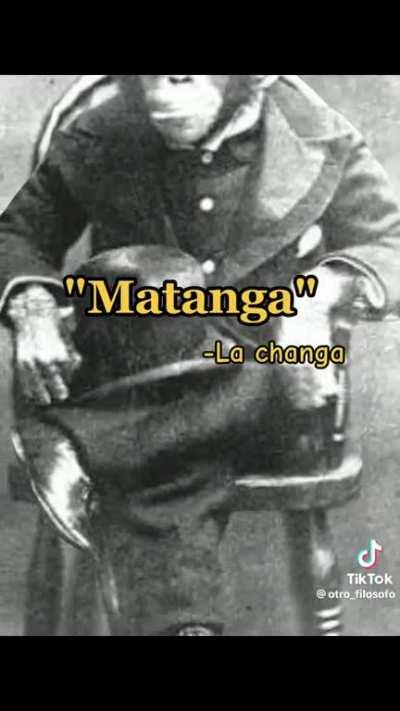 “Compermisito” -monchito