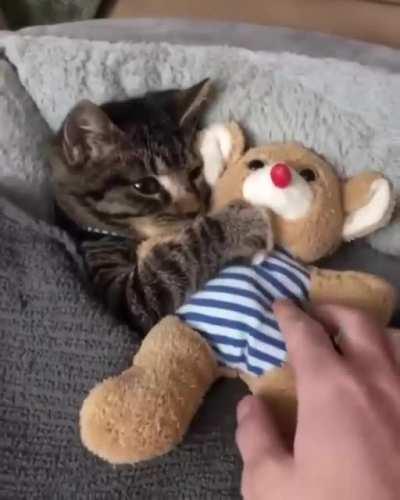 Why are they so ADORABLE??!!!