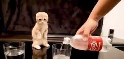 Woah woah woah what's that?