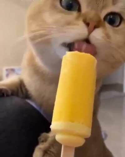 This is fine, this is fine, OMG, this is fine.