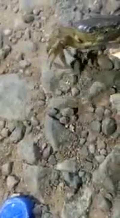 Just leave me alone, sir