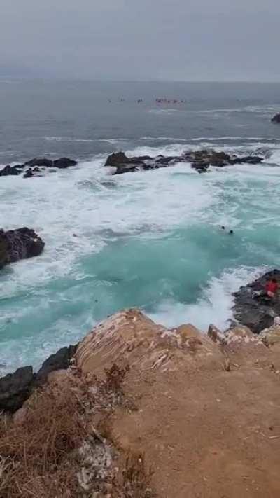 WCGW ignoring posted warning signs of High tides and prohibited area.