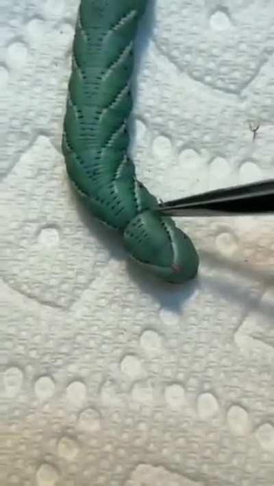 One good turn deserves another 