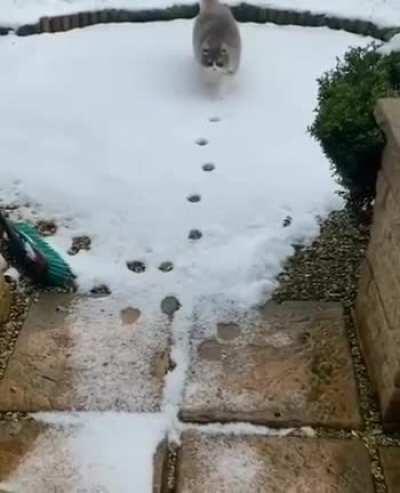 Forensic Investigators hate him!