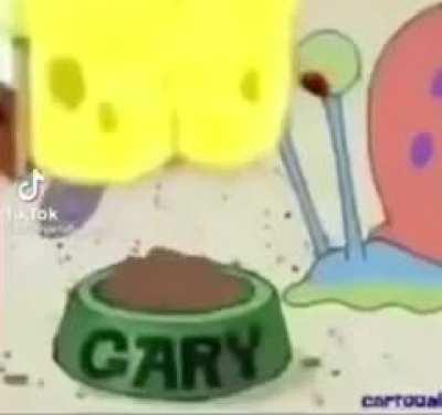 aw heals noaw spring lock feededed gayreee da shet