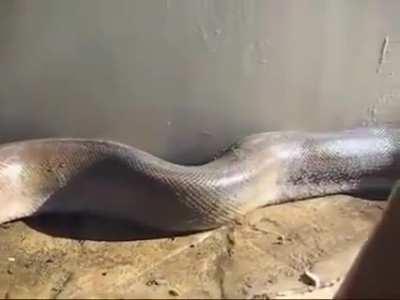 Love the fact that it waited till the end to attack him for dramatic effect