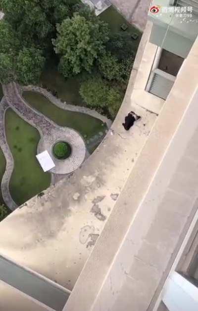 Хорошо, когда дома завалялся краб.