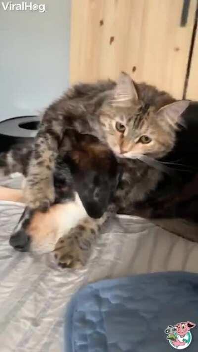 WCGW when I help my brother to be clean