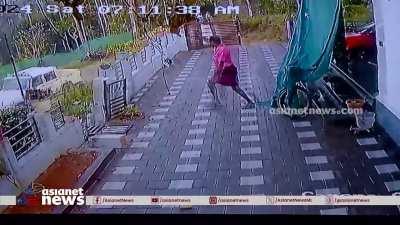 Elephant attack in south India