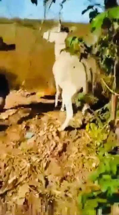 Это карма,сучка (со звуком видео гораздо приятнее))))