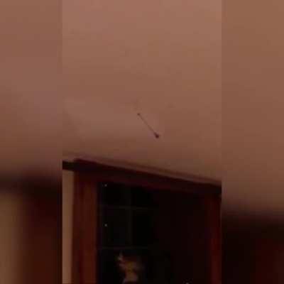 Teemo Main’s Be Like ;