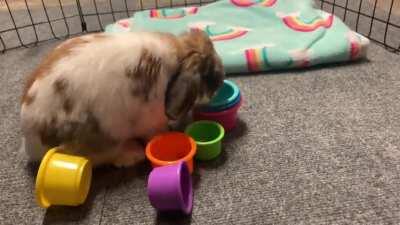 Wanna see some real speed