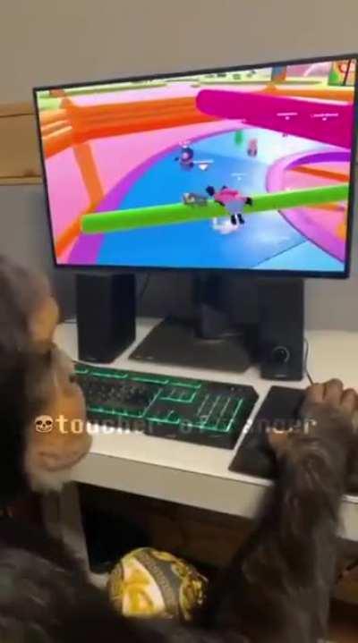 Ngl, juega mejor que Orslok.