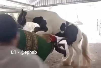 2000 Lbs of regret coming in for a landing.