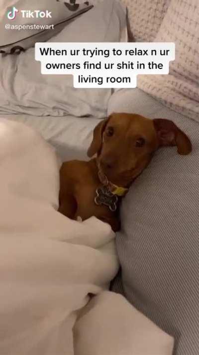 Just trying to relax on a peaceful Sunday...