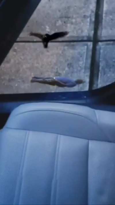 Shits higher than the za wizard