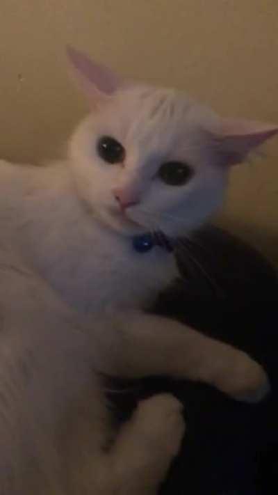 The rarest jewel of all: the squeak-scream