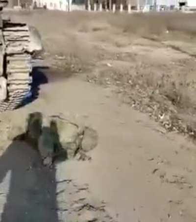 Abandoned Russian fatalities and armor.