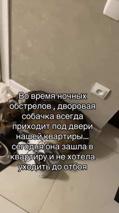 Nights of shelling in Odesa