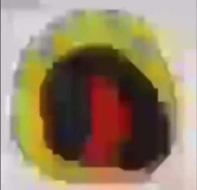 Me when my mother at sixty six