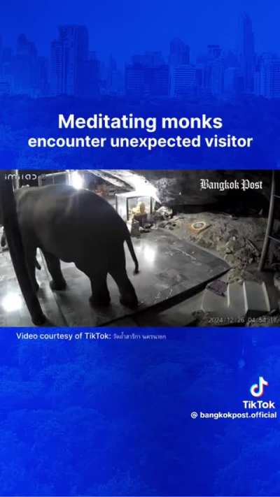 Elephant needs to talk about the monk in the room 