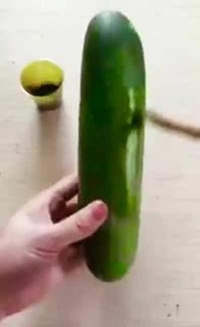 How to hide a coin (originally seen on r/WTF)